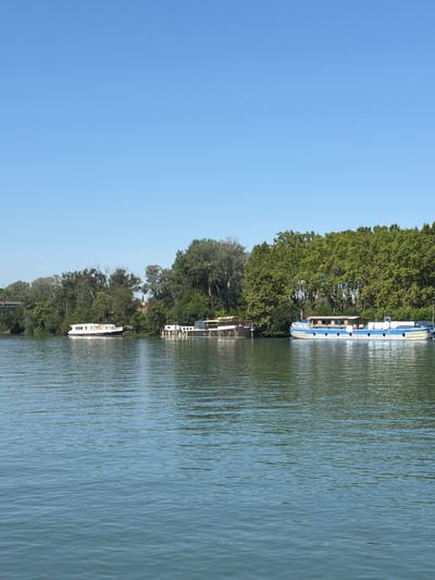 The image shows a river with several boats docked along a tree-lined bank. A large blue and white boat with multiple windows is prominently displayed, with a yellow stripe running along its side. Further down the bank, another white boat is visible, and a third, longer white boat with "VINOTAGE" written vertically on its side is also present. The trees are lush and green, suggesting a warm season. The water is calm, with reflections of the trees and boats visible on its surface. The sky is a clear, bright blue, indicating a sunny day. The overall scene evokes a peaceful and serene atmosphere, likely during daylight hours. The location is identified as Avignon, France.