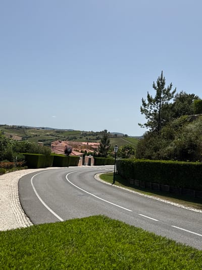 This media file captures a scenic landscape from an elevated perspective, overlooking a valley under a clear, light blue sky.
In the foreground, a winding, grey asphalt road curves from the lower center towards the upper right of the frame. It features white lane markings: a double solid line on the inner curve and a single dashed line on the outer curve. Along the immediate right side of the road is vibrant green grass. To the left, a textured border of light-colored cobblestones or paving stones separates the road from a dense, well-maintained green hedge. A dark lamppost with a classic light fixture stands beside the hedge on the left.
Beyond the hedge and a row of trees, including a prominent pine tree with distinctive needles, the landscape opens up to a wide valley. This valley is characterized by gently sloping, terraced hills covered in extensive green vegetation, strongly resembling vineyards. Several buildings with warm terracotta roofs are nestled among the greenery on these distant slopes.
The scene depicts a peaceful, rural or semi-rural setting, likely in the countryside near Torres Vedras, Portugal, as suggested by the architectural style and agricultural elements. The time of day appears to be bright daylight, with clear weather and no visible clouds. There are no people or specific activities taking place, and no discernible text is present in the image.