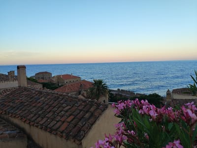 The image depicts a serene coastal view of Gefyra, Greece, at dusk. In the foreground, a cluster of vibrant pink oleander flowers is in bloom, their petals soft and delicate against the muted tones of the surrounding architecture. The flowers are lush and abundant, suggesting a flourishing natural element within the urban landscape.
Beyond the flowers, terracotta tiled roofs of traditional Greek houses dominate the mid-ground. These roofs are weathered and show signs of age, adding a rustic charm to the scene. Several chimneys rise from the rooftops, some made of stone and others of brick, indicating domestic habitation. The houses are built with a distinctive architectural style common to the region, with pale, neutral-colored walls.
In the background, the vast expanse of the Aegean Sea stretches to the horizon, its surface rippling gently under the fading light. The water is a deep, rich blue, transitioning to lighter shades near the horizon where it meets the sky. The sky itself is a spectacle of color, a gradient from a pale, clear blue at the zenith to soft hues of pink and orange near the horizon, characteristic of a sunset or sunrise.
Further in the distance, the faint outline of a fortified wall or ancient structure can be seen along the coastline, hinting at the historical significance of Gefyra. A single palm tree stands tall among the buildings, adding a touch of exoticism to the Mediterranean setting. The overall impression is one of tranquility and timeless beauty, capturing the essence of a Greek coastal town as day turns to night. There are no people visible in the frame.