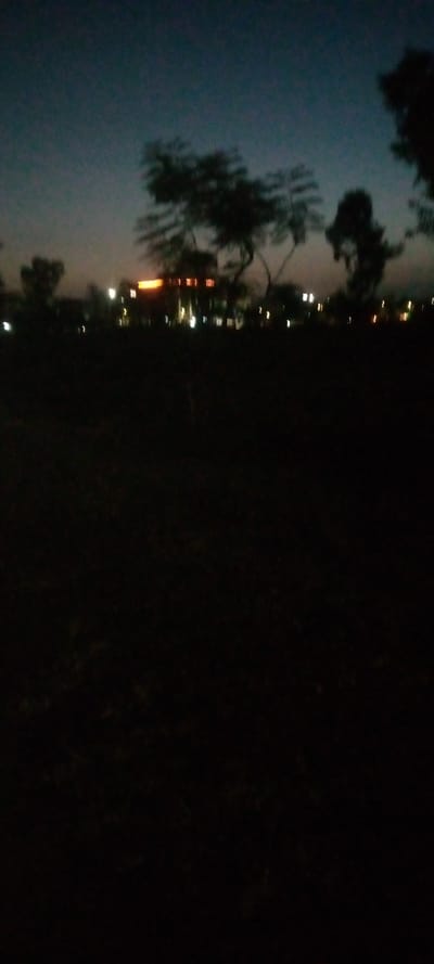 A dark, blurry landscape at dusk. Trees and sparse foliage are silhouetted against a twilight sky. Distant buildings emit a warm, orange glow, punctuated by faint, scattered lights. The foreground is consumed by darkness, with no discernable features. The image overall depicts a serene yet somewhat indistinct scene at nightfall.