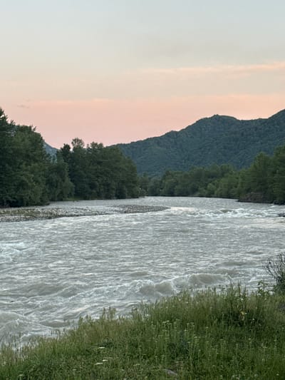 This landscape image depicts a fast-flowing river in a natural setting, likely near the town of Kamennomostsky, Russia. The river, with its turbulent, pale grey water, dominates the right side of the frame, suggesting a strong current. Along the riverbank to the right, lush green grass and some small white flowers are visible, hinting at a warmer season.
In the background, a dense, dark green forest covers a steep, rolling mountain range, which recedes into the distance. The sky above is a pale, muted gradient of pink and grey, indicating either sunrise or sunset. The overall atmosphere is serene and natural, with no human presence or man-made objects clearly visible. The time of day is likely early morning or late evening due to the soft light and sky colors. The weather appears clear and calm, conducive to outdoor observation of nature.