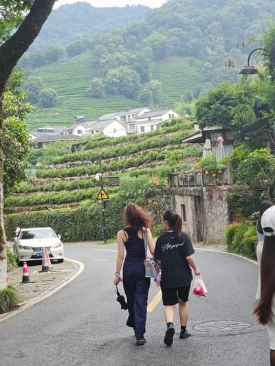In Xihu District, China, two young women walk down a paved road with a white car parked on the left. The road curves gently, leading past lush green terraces of tea bushes ascending a misty mountain. Buildings with white walls and grey tiled roofs are interspersed among the tea fields. The women are walking away from the camera, one in a black tank top and navy pants, carrying a black umbrella and a grey purse, the other in a black t-shirt and black shorts, carrying a white plastic bag with pink items inside. They are walking on the right side of the road. A lamppost with a yellow triangular warning sign is visible on the right side of the road. The environment is verdant and mountainous, with dense foliage and a generally overcast sky.