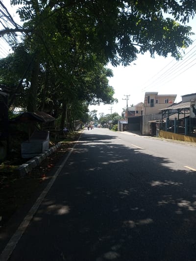 The image depicts a straight, two-lane asphalt road receding into the distance in Beteng_Pangkhar_Somthrang, Bhutan, under a clear, bright sky. On the left side, a dense line of tall, leafy trees casts dappled shadows across the road. Beneath the trees, a white solid line marks the road's edge, followed by a low, two-tiered grey and white concrete curb. Behind the curb, a dilapidated stall with a dark, corrugated metal roof and a grey rectangular container is visible. Further back on the left verge, a single individual wearing a light-colored shirt is seated or crouched near a tree base.
On the right side of the road, a solid yellow line transitions into a dashed yellow line in the mid-ground. Adjacent to the road, a series of buildings are visible, including one with a corrugated metal facade and a prominent two-story light-colored building with multiple windows and a flat roof. Further down, another structure with an open-sided roof and a sign depicting a rooster is present. Numerous utility poles with multiple overhead wires line the right side of the street.
In the distant center of the road, at least three motorcycles and several cars or vans are traveling away from the viewer. The overall scene suggests a sunny day in a semi-urban environment.