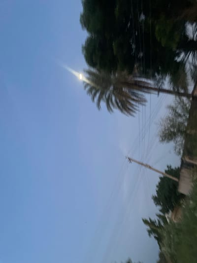 The image shows a blurry, upside-down view of a sky with trees and power lines. A bright orb, possibly the moon, is visible in the upper left quadrant, casting a strong ray of light. The scene is dominated by a clear blue sky with some scattered clouds. Silhouetted against the sky are the dark shapes of trees, including what appears to be a palm tree on the left. Power lines stretch across the frame, supported by poles. The overall impression is of an outdoor scene, likely during twilight or early morning given the lighting and the presence of the moon. The blurriness of the image suggests it may have been taken while in motion, perhaps from a moving vehicle. There is no visible text in the image. The location context of Wauro Jabbe, Nigeria, places this scene in a rural or semi-rural area.