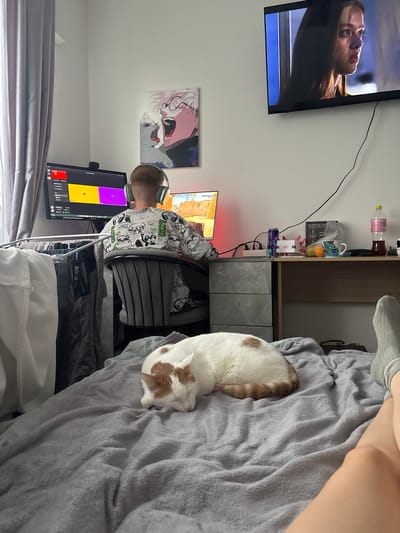 A person wearing headphones and a patterned shirt is seated at a desk with two computer monitors, one displaying a colorful grid, while a cat sleeps on a grey blanket next to them. A television is mounted on the wall, displaying an image of a woman's face. A poster is visible on the wall above the desk. The location is possibly indoors and there is no visual information to confirm the location as Ligolambi, Russia.