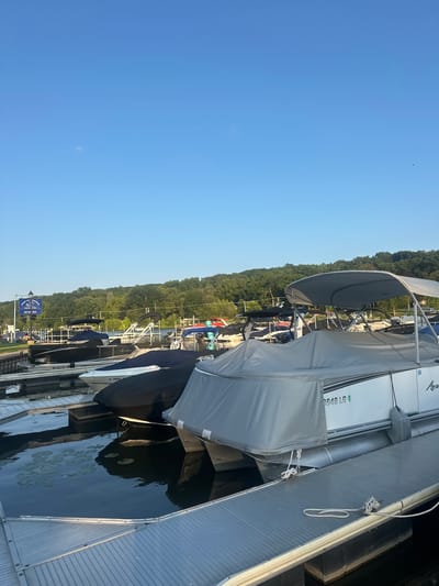 An outdoor, eye-level, long shot captures a marina in Algonquin, Illinois, USA. The sky is clear and blue. The foreground is dominated by a gray-colored dock, with a white rope tied to a railing on the right side of the frame. Adjacent to the dock, a white pontoon boat is moored. This boat is partially covered by a gray tarp and has a gray canopy. The boat has the registration number "IL 3649 LG" printed on its side. To the left of this boat, another pontoon boat, this one black and white, is also moored. This boat is covered by a black tarp and has the registration "MC 6832 UE" visible. In the background, a line of moored boats extends to the left, and beyond them, a lush, tree-covered hillside rises under the clear sky. A sign for "Fox Lake Marina" is visible on the left, attached to a lamppost. The water in the marina is dark and still, with lily pads visible in the lower left corner.