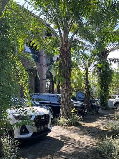 The scene is an outdoor view in Petulu, Indonesia, featuring a line of parked cars along a brick-paved driveway. The cars are partially obscured by palm trees and other lush greenery. A multi-story brick building is visible in the background, with arched openings and windowed sections. The scene is captured in daylight. The cars consist of a white car at the front. Further down the driveway is a black car.
