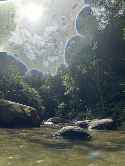 The image depicts a body of water with rocks lining the edge, possibly a stream or river. Dense green trees and foliage surround the water, with sunlight filtering through the leaves, creating lens flare effects. The location is likely in or near Thai Mueang, Thailand, based on the provided context. There are no people visible in the frame. The rocks are covered in moss. The water appears slightly murky.
