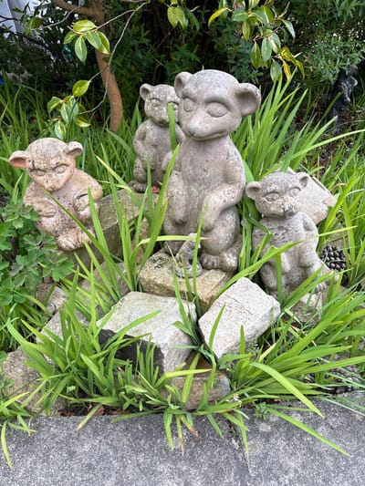 The image shows a garden scene in Longden, United Kingdom. Several stone cat statues are resting amongst rocks and tall green grass. A section of concrete borders the edge of the garden bed. A small pinecone can be seen among the grass. A bush with green and yellow leaves is also in the image.