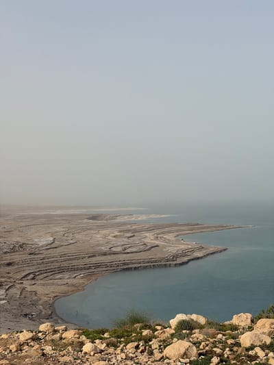 The image shows a landscape with a body of water on the right and a large expanse of arid land on the left, under a light gray sky. The body of water is bordered by a rocky shoreline with sparse vegetation. The arid land features distinctive geological formations, resembling layered ridges and valleys. The scene is located in the Megilot Yam HaMelakh Regional Council, Palestinian Territory. People can be seen in the water.