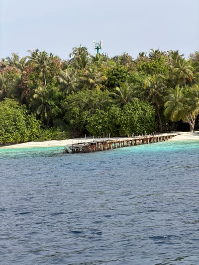 The image depicts a tropical scene in Guraidhoo, Maldives. Lush vegetation, including numerous palm trees, lines the edge of a white sandy beach. An old, weathered wooden pier or structure extends from the beach into the turquoise water. In the background is a modern telecommunications tower. The ocean water is visible, with varied shades of blue. The sky appears clear.