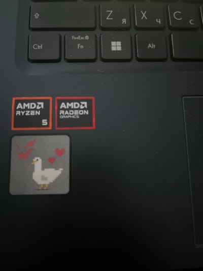The image shows a close-up of a laptop keyboard and surrounding areas. On the keyboard, several keys are visible, including "Ctrl," "Fn+Esc," "Fn," the Windows key, and "Alt." Above these, parts of the top row of keys are visible with characters like "Z," "X," and "C" in both Latin and Cyrillic scripts.
Below the keyboard, there are three stickers. The first sticker on the left is orange and black, displaying "AMD RYZEN 5." To its right is another sticker, red and white, reading "AMD RADEON GRAPHICS." Below these two stickers is a square-shaped sticker with a pixelated white goose on a grey background, surrounded by red checkmarks and hearts.
The rest of the image is dominated by the dark surface of the laptop, including a portion of the touchpad on the right side. There are no discernible city landmarks or any indication of the location in Sosnovka, Russia. The image is a still photograph, and there are no people or actions depicted.