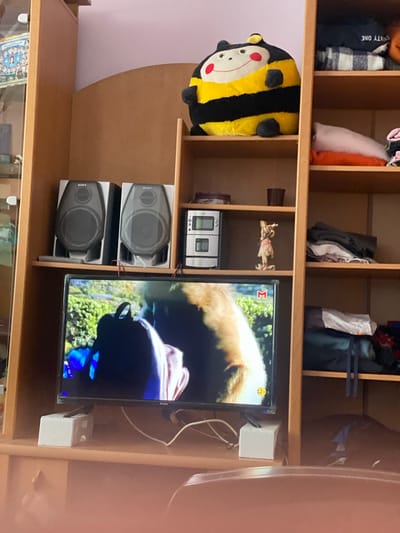 The image shows a wooden shelf unit with various items. In the top shelf, there are clothes and a stuffed toy. The middle shelf has a large bee-shaped plush toy on the left, and a small figurine and what appears to be a radio or VCR on the right, next to a television. The television displays an image with an orangutan and lush green foliage. Below the television are two Sony speakers. The bottom shelf is mostly obscured but shows a framed picture. The setting appears to be a room in a home. There are no people visible in the image. The time of day and weather are not determinable. The location context is Zastavna, Ukraine. Visible text includes "SONY" on the speakers and a "12+" rating on the TV screen.