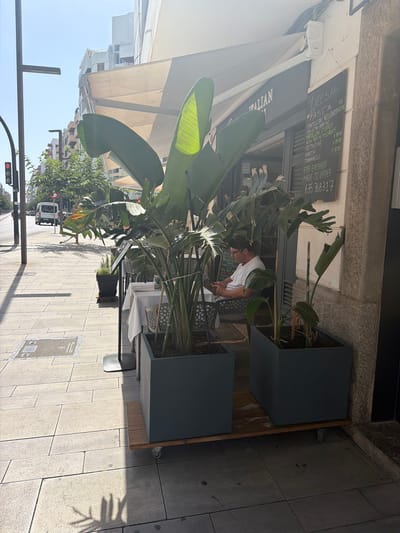 In Ibiza, Spain, on a sunny day, a man wearing glasses and a white t-shirt sits at a table outside a restaurant. He is looking down at his mobile phone. He is positioned to the right of two large potted plants with broad green leaves that partially obscure the view of the restaurant's facade. A menu board is visible to the right of the plants, displaying text in a foreign language. The restaurant appears to be located on a pedestrian sidewalk next to a street. The sidewalk is paved with light-colored rectangular tiles, and a drain cover is visible in the foreground. A traffic light is visible in the distance on the left side of the image. The overall scene depicts a relaxed, everyday moment outside a dining establishment.