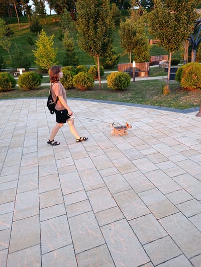 A young woman with shoulder-length brown hair is walking a small dog on a leash in a park. She is wearing a light brown t-shirt, black shorts, and black sandals. She has a black backpack on her shoulders. The dog appears to be a Yorkshire Terrier. They are walking on a paved pathway in a park with lush green grass, trees, and bushes. There are benches in the background. The lighting suggests it is either early morning or late afternoon. The specific location is the city of Kelermesskaya, Russia.