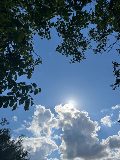 This is a low-angle shot looking up at a bright blue sky, with the sun peeking through fluffy white clouds. Dark green leaves and branches from trees frame the top and left sides of the image. There are no people or animals visible in the frame. The scene appears to be outdoors, likely in a park or garden setting in Myrne, Ukraine, given the foliage and cloudy sky.