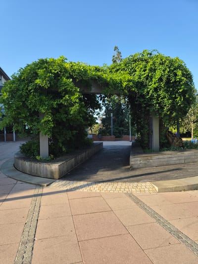 This is a ground-level, eye-level, medium shot of an outdoor public space in Sanem, Luxembourg, featuring a pergola covered in dense green foliage. The pergola has two visible gray concrete pillars supporting a horizontal beam, also covered in leaves. The structure creates an archway over a wooden deck and seating area. The seating consists of curved wooden benches with vertical slats. The foreground is a paved walkway made of light brown square tiles with a decorative strip of smaller, gray stones running through it. In the background, there are trees, more foliage, and a clear blue sky. To the right, a piece of carved wood or driftwood is visible amongst the greenery. A building with a dark roof is partially visible on the far left. The lighting suggests it is daytime, likely morning or late afternoon due to the shadows. There are no people clearly visible in the image.