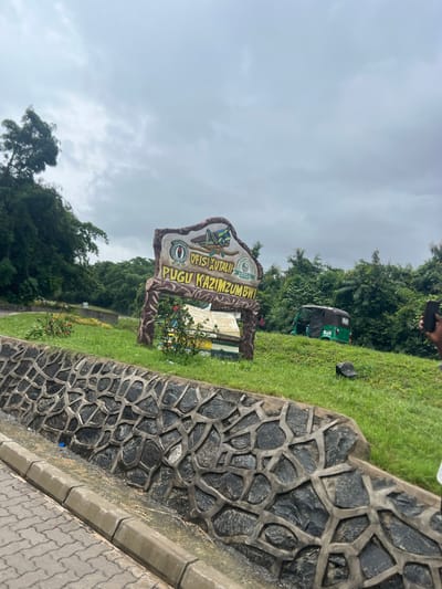 The image shows a sign for "Orisi Yutali Pugu Kazimizumbwi" located in Kisanga, Tanzania. The sign is colorful and decorated. Behind the sign is a grassy area with trees and a green auto rickshaw with "Bolt" written on it. In the foreground is a stone wall constructed from irregular dark rocks and cement. The sky is overcast. Part of a cell phone is in the frame, near the upper right corner, likely taking the photo. A paved area is visible at the edge of the frame.