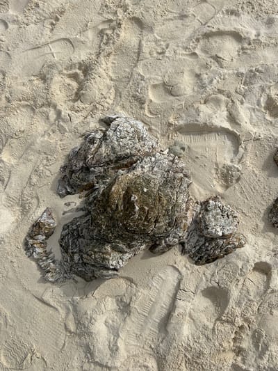 The image shows a close-up, overhead view of a rocky formation partially embedded in the sandy ground. The rocks are rough and textured, with visible layers and a mix of grey, white, and brown hues. The surrounding sand is light-colored and shows several footprints, some of which are deep indentations, indicating recent activity. The lighting suggests an outdoor environment, likely under sunlight, casting subtle shadows on the sand and rocks. The overall impression is a natural scene, possibly a beach or coastal area. The location is identified as Phru Nai, Thailand.