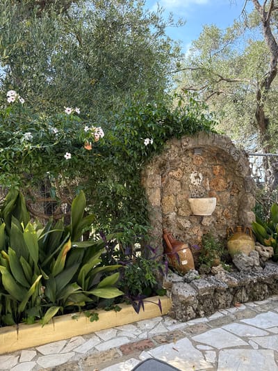 A low-angle, wide shot captures an outdoor scene featuring a decorative stone wall with a built-in alcove. The alcove, constructed from rough-hewn stones in varying shades of brown and orange, contains a weathered, white ceramic piece protruding from the center. To the right of the alcove, two earthenware amphorae are visible, one larger and lighter brown, nestled amongst rocks and greenery, and a smaller, darker brown one lying on its side near the bottom of the wall.
Surrounding the stone wall is lush vegetation. To the left, a large olive tree with silvery-green leaves dominates the upper portion of the frame, its branches reaching towards the bright blue sky. The lower left is filled with a dense wall of dark green leaves, punctuated by delicate white flowers with pink centers. To the right of the stone structure, a patch of vibrant purple foliage adds a contrasting color, and below that, large, glossy green leaves of another plant create a dense foreground.
The ground to the far right is paved with irregularly shaped light-colored stones, set within a mortar bed, and edged with a yellow border. The overall impression is one of a serene, Mediterranean garden setting. The bright daylight suggests it is daytime, with no indication of specific weather conditions beyond clear skies above the trees. No people or text are visible in the image. The scene evokes a sense of tranquility and rustic charm.