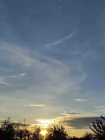 The image displays an expansive sky scene over Torre Pacheco, Spain, characterized by a low-angle sun near the horizon. The sky progresses from a deep blue at the zenith to a pale blue, then a yellow-orange luminosity at the horizon. The sun, appearing as a brilliant yellow-orange light source, is partially obstructed by a dark, dense band of silhouetted vegetation, consistent with trees or bushes, which occupies the lower quarter of the frame. Irregular patches of white and grey clouds are distributed across the sky. Multiple linear contrails are present; a prominent, elongated, and slightly curved contrail is observed in the upper-mid right section. A small, faint, yellowish-white crescent object, consistent with a celestial body such as the moon, is visible in the upper-left quadrant.