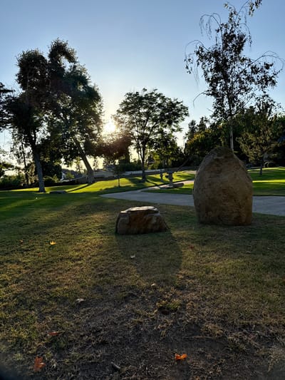 A wide-angle, eye-level shot captures a serene park scene in Glendale, California, during a golden hour sunset. The sun, a bright orb in the upper-left quadrant, casts long shadows across the manicured green lawn, illuminating the scene with warm, golden light. A large, irregularly shaped boulder, approximately three feet tall, stands prominently in the right foreground, its surface textured and muted brown. To its left, a smaller, flatter rock sits lower to the ground. Scattered across the grass are a few fallen leaves, mostly autumnal colors of brown and orange.

In the middle ground, a paved pathway curves gently through the park, bordered by more lush green grass and several mature trees. The trees, with their dark green foliage and textured bark, create a dramatic silhouette against the bright sky. One particularly striking tree in the mid-left foreground has an unusual, almost dragon-like branch formation. Further back, architectural elements like a stone lantern and what appear to be low walls are visible, hinting at a structured garden or memorial area. Beyond the park's immediate landscape, a residential neighborhood with houses and more trees is visible in the distance, under a clear, pale blue sky. The overall atmosphere is one of peaceful tranquility and natural beauty.