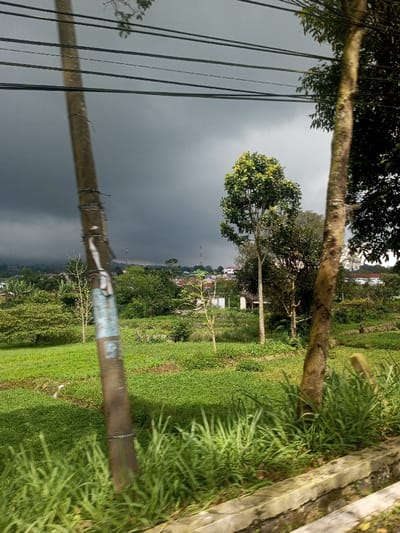 The image portrays a rural landscape in Kandapola, Sri Lanka, under a heavily overcast, dark grey sky indicative of an approaching storm. In the foreground, a concrete retaining wall or curb runs horizontally along the bottom right, partially obscured by dense, vibrant green grass. A utility pole with multiple overhead wires bisects the left side of the frame, showing weathered markings and light blue residue. To the right, a tree trunk with visible bark texture stands vertically, its base also partially hidden by foreground grass. The midground consists of expansive green fields, likely cultivated, with scattered trees of varying heights and foliage density, including one prominent tree with bright green leaves near the center. A faint, lighter linear feature, possibly a path or ditch, is visible horizontally within these fields. A solitary, small figure in dark clothing is discernable in the far right midground, situated within the green expanse. The background reveals a cluster of distant buildings, some white-walled, interspersed with foliage and several communication towers on a low hill range, all partially obscured by the dark, dense cloud cover.