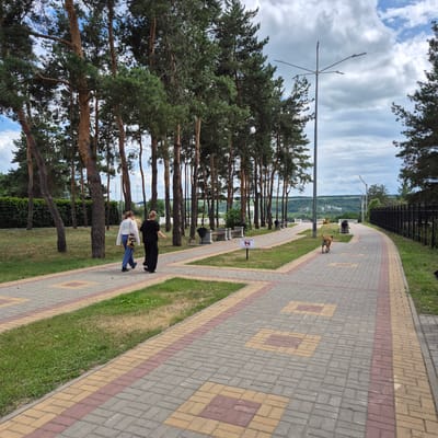 The image shows a paved walkway in a park with tall pine trees lining one side. Two women are walking away from the camera on the walkway. One woman is wearing a white sweater and blue jeans, and the other is wearing a black outfit. A dog is also walking on the walkway ahead of the women. In the background, there is a black fence, and beyond that, a lush green landscape with rolling hills. The sky is cloudy. This scene is consistent with a public park in the city of Liski, Russia, specifically likely the embankment of the river Chir, a popular recreational area.