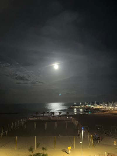 A nighttime photograph captures a serene scene at a marina in Palavas-les-Flots, France. The bright, possibly full moon dominates the upper left, casting a wide, luminous reflection across the dark, calm waters. Wispy clouds are visible in the moonlit sky.

To the right, a marina is densely packed with docked boats and yachts, their masts creating a vertical rhythm against the night. Numerous artificial lights from the docks and boats illuminate this section, reflecting brightly on the water and contrasting with the natural moonlight.

On the far right, a stretch of land, likely a beach or promenade, is brightly lit by warm streetlights. Yellow lines, possibly indicating parking spots or demarcations, crisscross the ground. In this area, several indistinct figures are visible, some appearing to be seated or standing, suggesting the presence of people enjoying the evening.

Notable details include the striking moonbeam on the water, the vibrant artificial lighting of the marina, and the generally peaceful atmosphere. A sign on the right, near the water, clearly displays text, including "Restaurant Plage", "Bar Club", and the location identifier "Palavas-les-Flots". The image is effectively a tranquil nightscape of a coastal harbor.