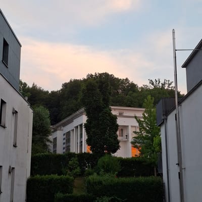 The image captures a view of a modern building complex surrounded by lush greenery, likely situated in the city of Baden-Baden, Germany, given the architectural style and the presence of mature trees. The scene appears to be taken during the late afternoon or early evening, as indicated by the soft, warm hues in the sky and the reflections in the windows.
In the foreground, two white buildings frame the view. The building on the left, partially visible, features a dark, recessed window. The building on the right is also white, with a visible gutter system and a tall, metallic chimney pipe extending upwards.
The midground is dominated by a larger, white building with prominent vertical blue-striped windows. This building has a modern aesthetic with clean lines. A balcony with a railing is visible on one of its upper floors. In front of this building, a dense, dark green hedge forms a visual barrier.
Behind the main building, a dense forest of mature trees rises, their dark foliage creating a dramatic backdrop against the sky. The sky itself is a soft blend of light blue and pastel pink, suggesting either a sunrise or sunset. The setting sun's warm light is reflected in the windows of the central building, casting an orange glow.
No people are visible in the image. The focus is on the architecture, the natural environment, and the atmospheric lighting. The scene conveys a sense of calm and serenity, with a contrast between the man-made structures and the natural landscape.