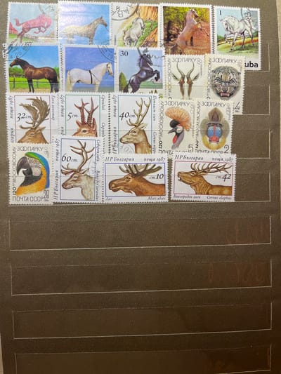 This image shows a collection of postage stamps, likely mounted in a stamp album. The stamps depict various animals, including horses, a leopard, a monkey, a parrot, and several types of deer. Some stamps have Cyrillic text, indicating they are from a Russian-speaking country or region, and some have Bulgarian text. The album pages are a dark, textured material, possibly cardboard or faux leather. There are no people or any indication of the city of Kramatorsk, Ukraine, in the image.