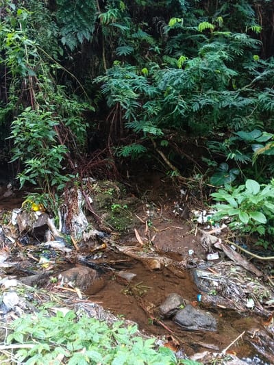A stream polluted with plastic and other trash flows between dense vegetation. Lush green plants frame the scene. Litter is strewn across the muddy banks and submerged in the water. The scene suggests environmental degradation due to human activity, contrasting the natural beauty with the artificial waste.