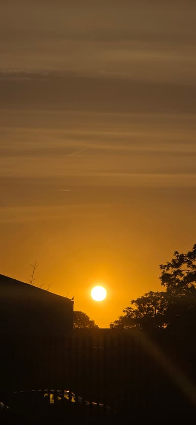 This image depicts a sunrise or sunset over a residential area in the city of Peterborough, United Kingdom. The sky is a vibrant orange, with horizontal streaks of lighter clouds suggesting a hazy atmosphere. The sun, a bright white orb, is positioned in the lower half of the frame. Silhouetted against the bright sky are the dark outlines of several objects. On the left, a portion of a building's roofline is visible, with a small bird perched on its edge. To the right of the sun, the dense foliage of trees forms a dark mass, with light rays emanating from behind them. In the foreground, a dark, segmented fence runs horizontally across the bottom portion of the image, with the reflection of light visible on what appears to be a parked car beneath it. The overall impression is one of a calm, early morning or late evening scene in a suburban environment.