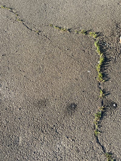 A close-up, overhead shot shows a crack in dark asphalt. Sparse green weeds are growing along the crack, particularly on the right side of the frame where they form a denser line. The asphalt surface is textured with small pebbles. The scene appears to be outdoors, with sunlight casting shadows from the weeds. The image does not contain any people or obvious landmarks, making it impossible to determine its specific location within Kalynivka, Ukraine, or any other city.