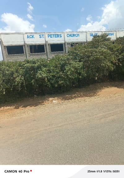 The image captures the exterior of the ACK St. Peters Church Gilgil Parish building, situated in Gilgil ward, Kenya. The building, potentially under construction or in an uncompleted state, features a white upper facade with the words "ACK ST. PETERS CHURCH GILGIL PARISH" painted in blue capital letters. Several dark, rectangular openings are visible on the upper level where windows would be, indicating missing panes. The lower portion of the building consists of exposed grey concrete blocks, partially obscured by a dense, verdant hedge containing scattered pink blossoms. In the foreground, a light grey paved surface, likely a road, occupies the lower third of the frame. To the immediate left of the paved surface is a narrower strip of dirt ground, upon which minimal litter is visible. The sky above is clear blue with sparse white clouds, and direct sunlight illuminates the scene, casting shadows from the foliage onto the ground. No individuals, vehicles, or animals are present.