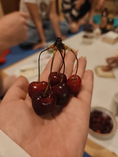 A close-up, slightly blurred shot shows a person's open palm in the foreground, holding a cluster of five dark red cherries with stems. The cherries are wet, with visible water droplets. In the background, out of focus, several people are seated around a table. The environment appears to be indoors, possibly a gathering or meal, with a white tablecloth and some dishes visible on the table. There is no specific indication that this image is located in Tomilino, Russia.