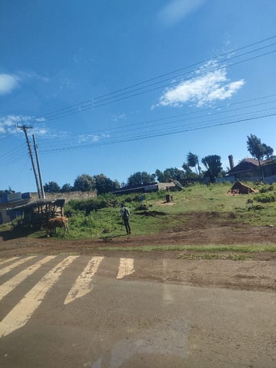 The image depicts a rural scene in Kenya, possibly in the Municipality Ward area. A dirt and asphalt road with a faded pedestrian crossing occupies the foreground. A man stands on the side of the road, near a cow grazing in the green grass alongside a crude, makeshift structure. Power lines stretch across a bright blue sky. The scene suggests a setting where rural life intersects with basic infrastructure like roads and electricity.