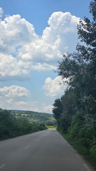 The image depicts a rural road in the vicinity of Dalgopol, Bulgaria. The road is paved and has a white dashed line down the center. It is flanked by dense green foliage and trees, with a rolling landscape of hills covered in vegetation in the background. The sky is a clear blue with scattered white, puffy clouds. There are no people or vehicles visible in the frame. The overall impression is one of a serene, natural setting.