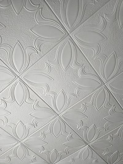 The image shows a close-up, low-angle view of a white, textured ceiling with a repeating embossed floral pattern. The pattern consists of stylized four-petal flowers, with each petal outlined by raised lines. The background of the pattern has a rough, textured finish. The ceiling tiles are arranged in a grid. No people, actions, or interactions are visible. The location in Otradny, Russia, is not evident from the image.