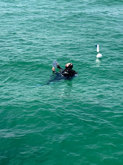 This high-angle, aerial photograph captures a lone individual partially submerged in calm, greenish-blue water, likely off the coast of Frankston, Australia. The person is dressed in a black wetsuit, with their head and upper torso visible above the water line. They appear to be a diver or snorkeler, holding a grey, rectangular slate or clipboard, suggesting an activity involving observation or recording data. Faint outlines of fins are visible beneath the water's surface.

A short distance to the upper left of the individual, a white buoy with a small blue marking floats on the water, potentially serving as a marker for a specific area or research point. The water's surface is covered with gentle, sun-dappled ripples, indicating calm weather and bright daytime conditions. The serene marine environment, characterized by the clear water, suggests either scientific research, environmental monitoring, or a practical training exercise is underway. No specific text is legible on the slate held by the individual, and emotions are not discernible from this overhead perspective.