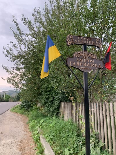 The image depicts a static outdoor scene located in Lazeshchyna, Ukraine, at the side of a rural road. The primary subject is a black metal pole from which two decorative, brown, cast-metal street signs and two flags are affixed. The upper sign reads "ГЕРОЯ УКРАЇНИ" (HERO OF UKRAINE) in raised gold-colored Cyrillic text, featuring ornate scrollwork. The lower sign, also brown with gold-colored text, displays the Ukrainian trident emblem at its top center and reads "ДМИТРА ГАВРИЛЮКА ВУЛИЦЯ" (DMYTRO HAVRYLIUK STREET).

To the left of the pole, a Ukrainian national flag, horizontally striped blue over yellow, hangs. To the right of the pole, a red and black flag is displayed.

The pole is positioned adjacent to a dirt and gravel shoulder that borders an asphalt road, partially visible on the left. A concrete curb separates the shoulder from an area of overgrown green grass and various plants, including some with dried seed heads. Behind the pole and vegetation, a light-colored wooden picket fence, composed of vertical planks, runs parallel to the road. Dense green trees and bushes form a significant part of the midground and background, with some distant rolling green hills or mountains visible under an overcast sky. No individuals or animals are present in the scene.