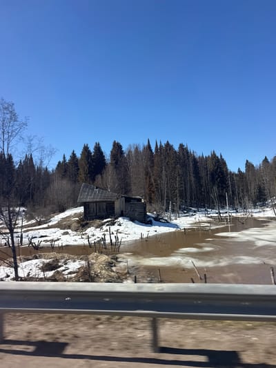 The image shows a weathered wooden structure, possibly a cabin or shed, nestled at the edge of a forest. Patches of snow cover the ground around the building, indicating a cold climate. The forest consists of tall, slender trees typical of a northern or mountainous region. Adjacent to the structure, there is a body of water, possibly a lake or river, with submerged posts or remnants of a pier. The scene is observed from an elevated position, possibly from a road or bridge, as indicated by the railing visible on the side. The clear blue sky suggests a bright, sunny day. The image is oriented vertically. It is not possible to confirm the location is Okulov, Russia from the details provided in the image.