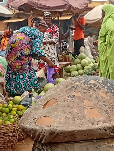 An eye-level shot captures a lively outdoor market scene in Tudun Nupawa, Nigeria. In the foreground, a large, dark brown, irregularly shaped object with worn, lighter brown patches and holes partially covers the bottom right of the frame, resembling a dried animal hide or similar material.
Several people are visible, engaged in market activities. To the left, a woman wearing a vibrant, multi-patterned dress, featuring floral and geometric designs in pink, purple, blue, and green, bends forward, seemingly examining goods. Next to her, another woman stands, wearing a white dress with a black and red patterned design, and a black beanie with the word "CELINE" visible on it. She holds a purple plastic bag.
Behind them, a large pile of green, melon-like fruits and some pineapples are stacked on the ground or a low surface. To the left of these fruits, baskets overflow with small, green citrus fruits, likely limes or unripe oranges.
Further in the background, a man in an orange t-shirt and dark pants stands. To his right, partially obscured, a person in a bright green hijab or garment stands facing away from the camera. Market stalls with various umbrella canopies are visible, indicating an outdoor setting. A motorcycle is faintly visible in the mid-ground. The natural bright lighting suggests it is daytime. The scene conveys a bustling and functional local market.