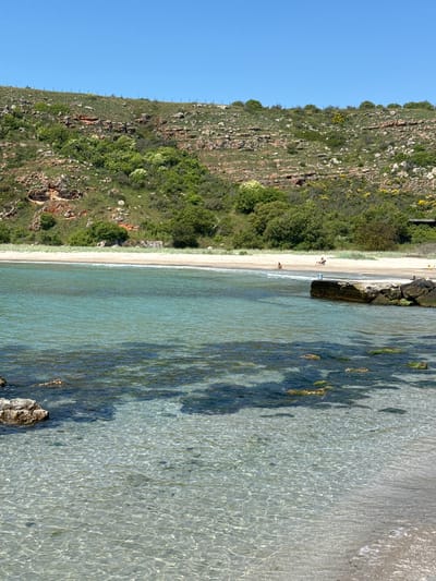 The image depicts a beach scene in Balgarevo, Bulgaria. A cliff covered in vegetation rises on the left side of the frame. To the right of the cliff, a narrow sandy beach stretches along the coastline. Two people and a dog are present on the beach. The clear turquoise water occupies most of the right side of the image. Large rocks are visible in the water near the shoreline. The sky is a clear, bright blue.