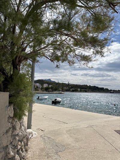 A concrete walkway leads to a small harbor in Dugi Rat, Croatia (43.446, 16.635), with a single tree framing the scene in the foreground. A small boat, approximately 10 feet in length, is tied to a concrete dock. There is a second, similar boat parked nearby. The water is blue and calm. The sky is mostly cloudy, with a hint of blue peeking through. A small hillside is visible in the distance. The image is taken from a low angle, facing toward the harbor. The walkway is cracked and weathered. A white object is visible on the concrete walkway, near the base of the tree. The tree is green and leafy. The overall scene is tranquil and serene.