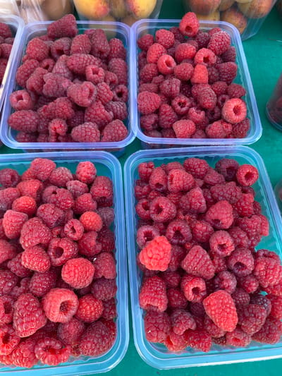 Four clear plastic clamshell containers filled with red raspberries are arranged on a green surface. The containers are packed with fresh raspberries, some of which are slightly darker in color, suggesting ripeness. The scene appears to be outdoors, possibly at a market, given the presence of other fruits in the background, including apricots and possibly apples, some of which are in plastic bags. The image is a close-up shot, focusing on the abundance of raspberries. There are no people or animals visible in the image. The location of Kushchovskaya, Russia, is not visually evident from the image itself.