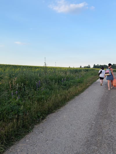 Two people walk along a paved path next to a field of tall green grass and wildflowers. The person in front wears a white t-shirt and black shorts, carrying a black bag. The person behind them wears a denim skirt and a dark top, with a colorful backpack and an orange bag. The sky above is clear blue with a few wispy clouds. The sun appears to be setting, casting a warm glow. The scene suggests a peaceful walk or hike in a rural setting, possibly in Mar'inskoe, Russia, given the vegetation and open fields. The overall mood is serene and relaxed.