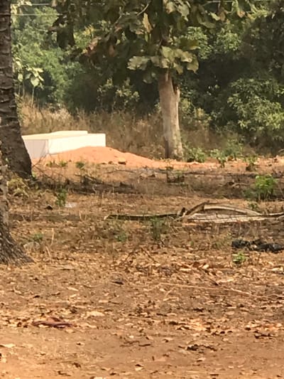The scene, located in Egboje, Nigeria, depicts an outdoor, undeveloped area under natural daylight. The foreground consists of dry, reddish-brown soil densely covered with fallen, brown leaves. A dark, textured tree trunk is partially visible on the far left. In the midground, a substantial pile of reddish-orange sand partially conceals two parallel, white rectangular structures, appearing to be construction materials or precast elements. To the right of the sand pile, scattered debris is present on the ground, including a curved, light-colored object, possibly a piece of metal or bark, and several dark, undefined fragments. The background features dense green and brown foliage, comprising numerous trees and shrubs, with a distinct tree exhibiting a light-colored, smooth trunk visible towards the middle-right. No individuals or animals are present within the frame.