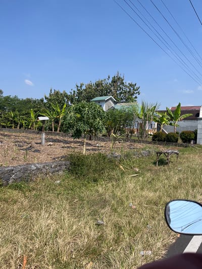 The image depicts an outdoor scene in Purworejo, Indonesia, under a clear blue sky with visible power lines overhead. The foreground is dominated by dry, tall grass. In the midground, there is a low stone wall separating a patch of dry, cleared land with some sparse vegetation and scattered debris from a more overgrown area. A single, small wooden table with a damaged surface sits in the grass to the right of this cleared area. Behind the cleared land, there are several banana trees and a papaya tree. Further in the background, two houses are visible. One house has a light-colored facade and a green-tiled roof, with a prominent grey stone or concrete chimney-like structure. The other house to the right has a white facade and a red-tiled roof. The overall impression is a semi-developed or rural area with signs of vegetation and residential structures.