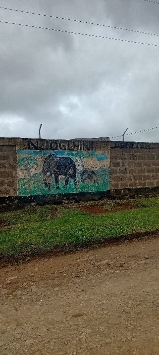 A weathered, upright sign on a brick wall displays an elephant drawing, with the word "NLOGGINI" vertically written. Lush green grass borders the wall, contrasting with a dirt road on the right. Above the wall, power lines stretch across a cloudy sky. The image is slightly out of focus, giving a somewhat indistinct view.